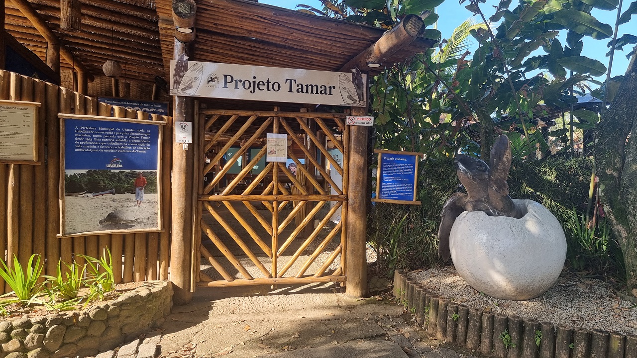 Projeto Tamar em Ubatuba